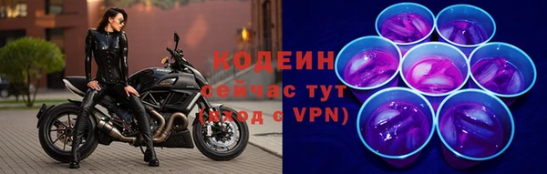 винт Бородино