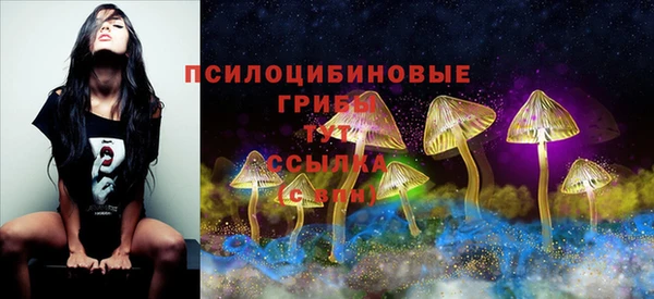 ГАЛЛЮЦИНОГЕННЫЕ ГРИБЫ Верхний Тагил