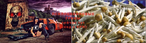 мдма Волоколамск