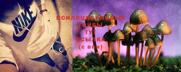 jwh Бронницы