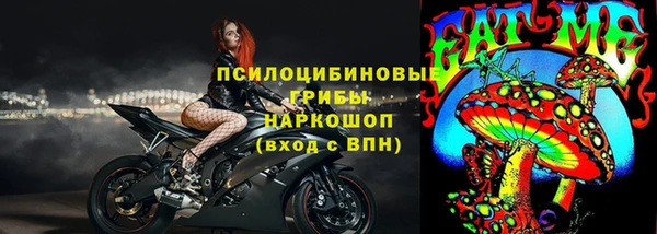 трава Верея