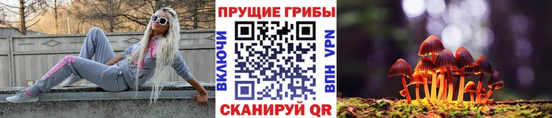 OMG ссылка  купить  сайты  Верхотурье  Галлюциногенные грибы Magic Shrooms 